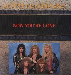 Whitesnake : Now You're Gone (Remix)